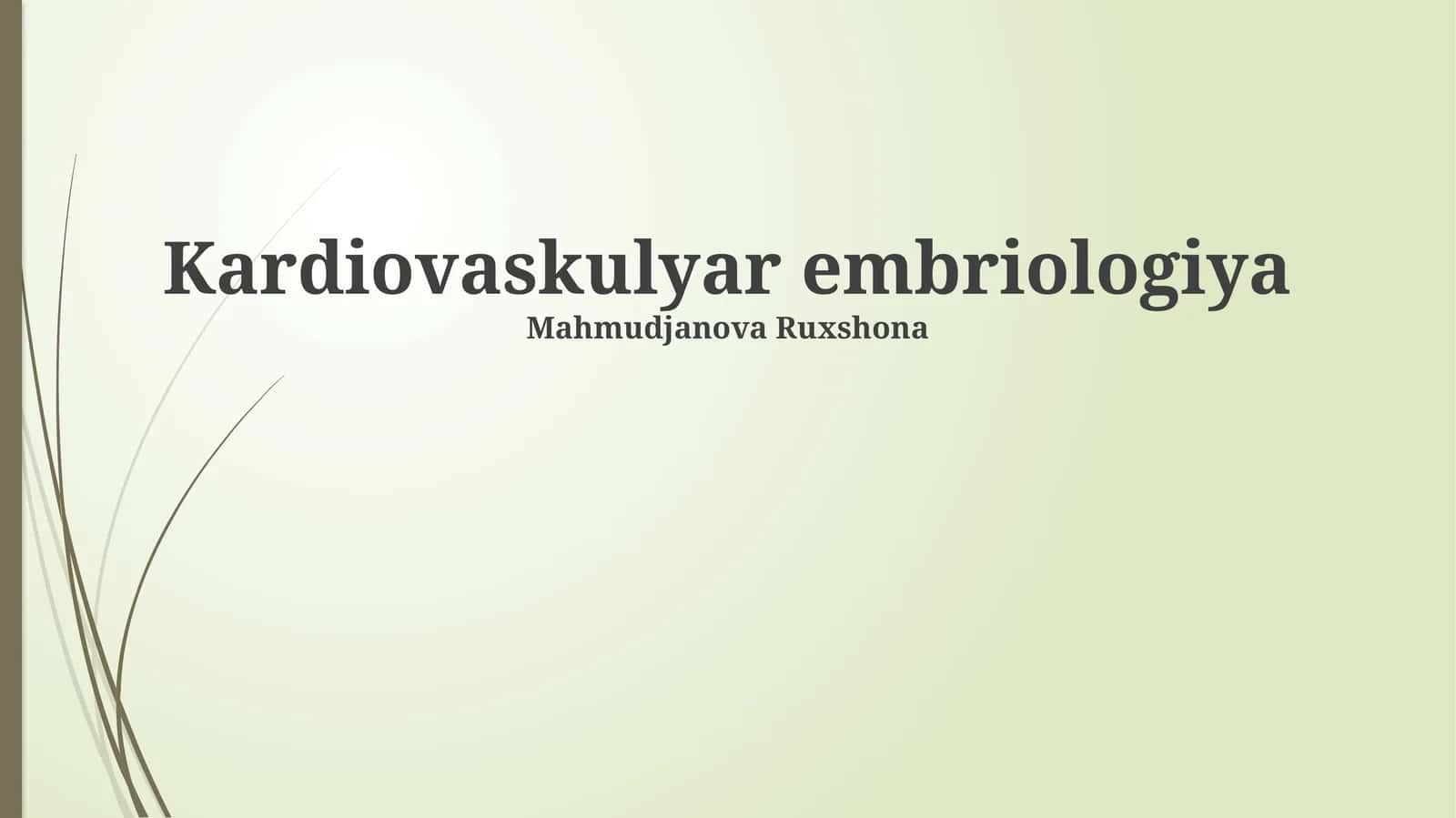 Kardiovaskulyar embriologiya 1