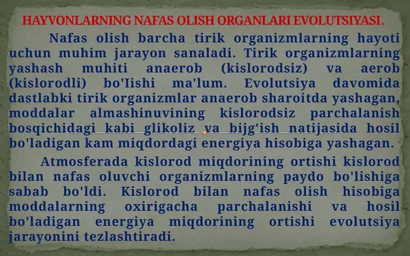 HAYVONLARNING NAFAS OLISH ORGANLARI EVOLUTSIYASI 1