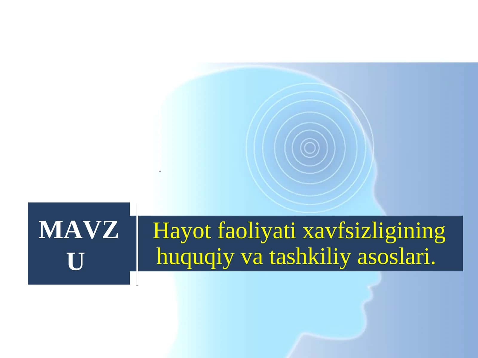 Hayot faoliyati xavfsizligining huquqiy va tashkiliy asoslari 1