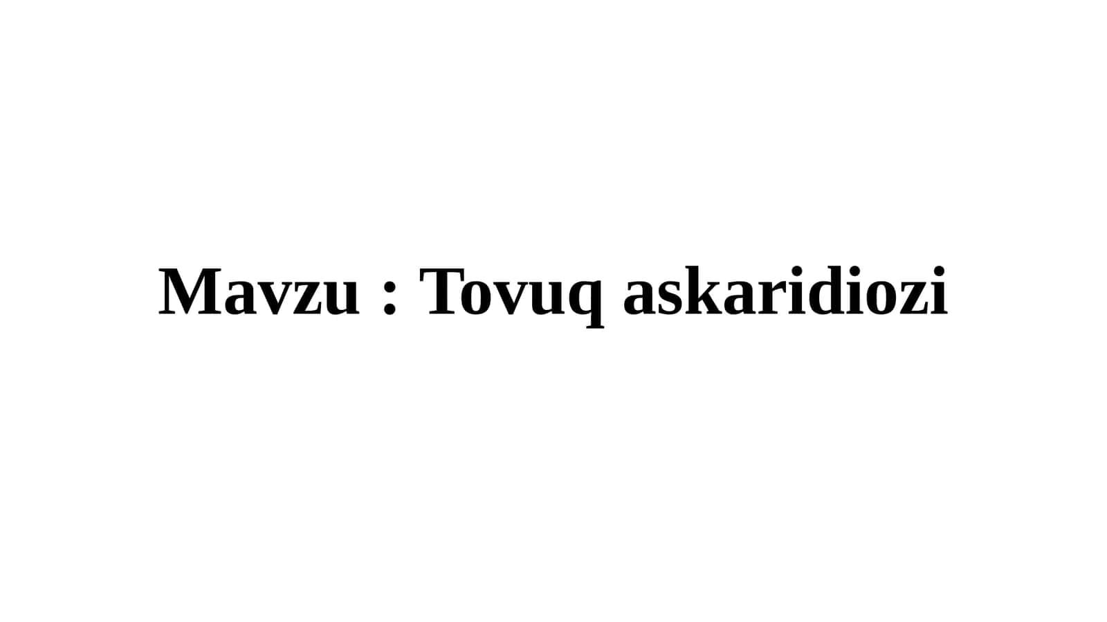 Tovuq askaridiozi 1