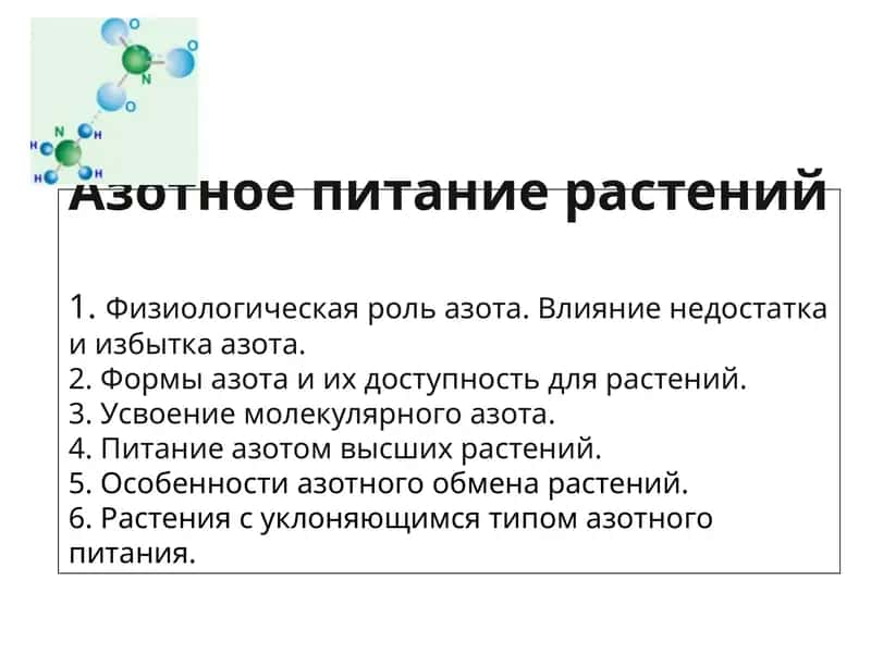 Азотное питание растений 1