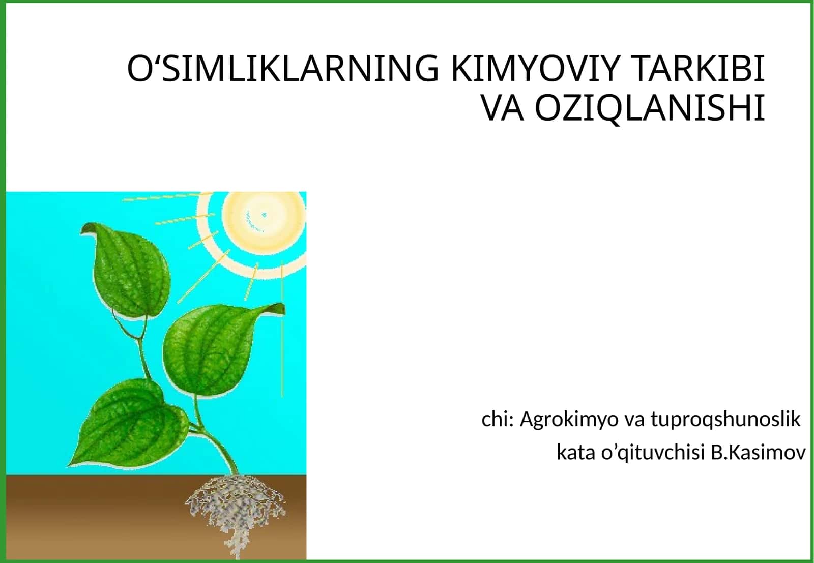 O‘SIMLIKLARNING KIMYOVIY TARKIBI VA OZIQLANISHI 1