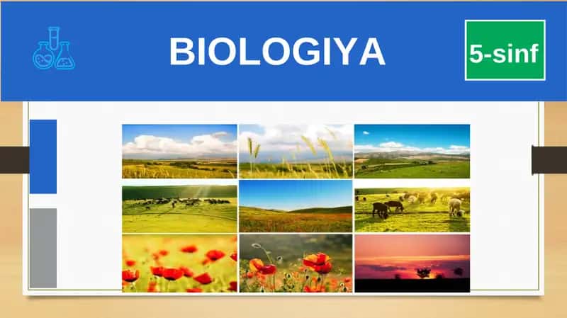 BIOLOGIYA 5-sinf MUSTAHKAMLASH BIOLOGIYA UMURTQALIHAYVONLAR 1