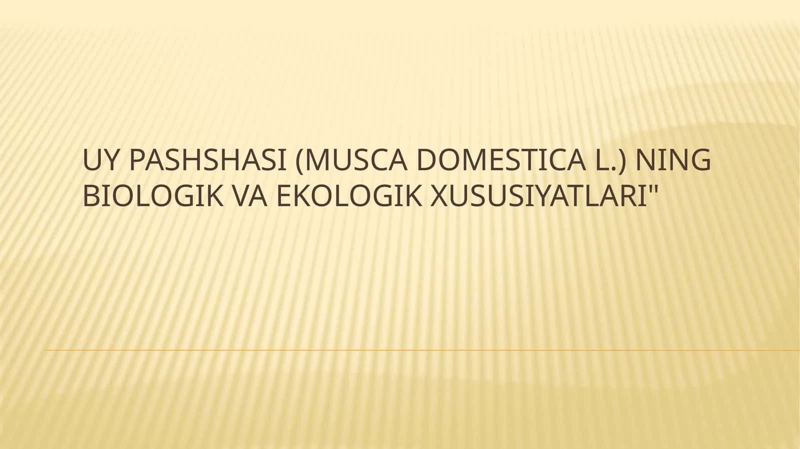 Uypashshasi(Musca domestica L.)ning biologik va ekologik xususiyatlari 1