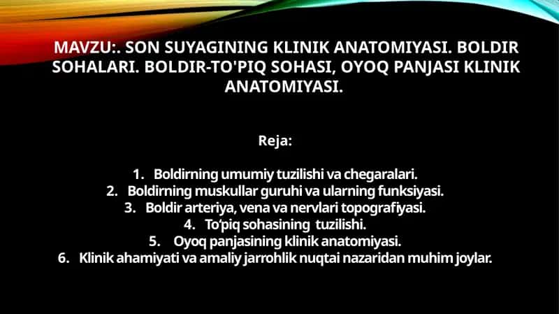 SON SUYAGINING KLINIK ANATOMIYASI. BOLDIR SOHALARI. BOLDIR-TO'PIQ SOHASI, OYOQ PANJASI KLINIK ANATOMIYASI 1