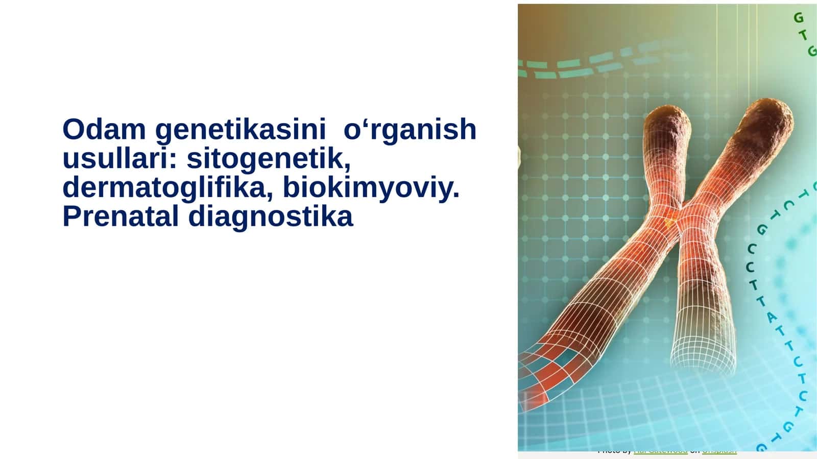 Odam genetikasini oʻrganish usullari: sitogenetik,dermatoglifika,biokimyoviy. 1
