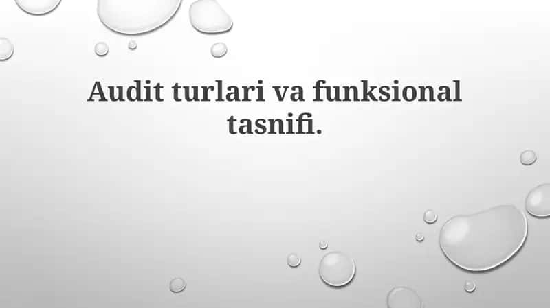 Auditorlik tekshiruvi 1