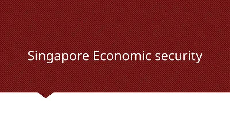 Singapore Economic security 1