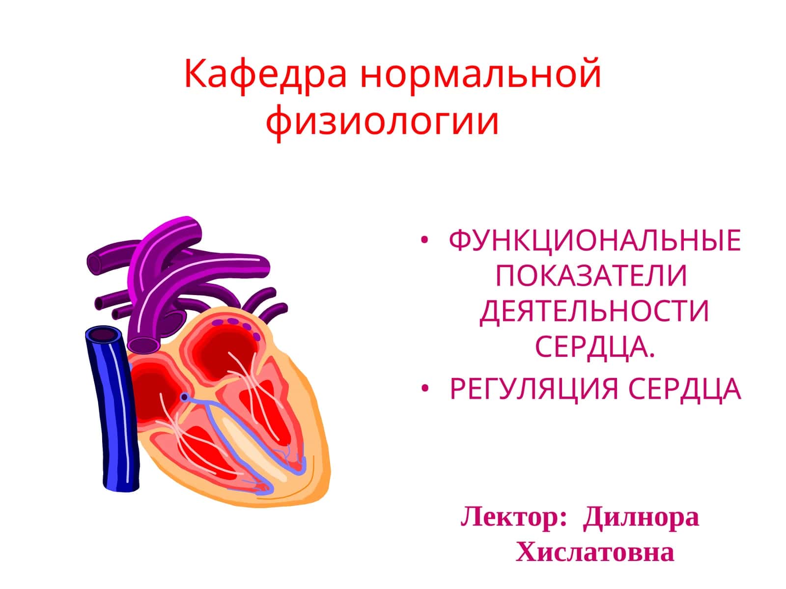ФУНКЦИОНАЛЬНЫЕ ПОКАЗАТЕЛИ ДЕЯТЕЛЬНОСТИ СЕРДЦА 1
