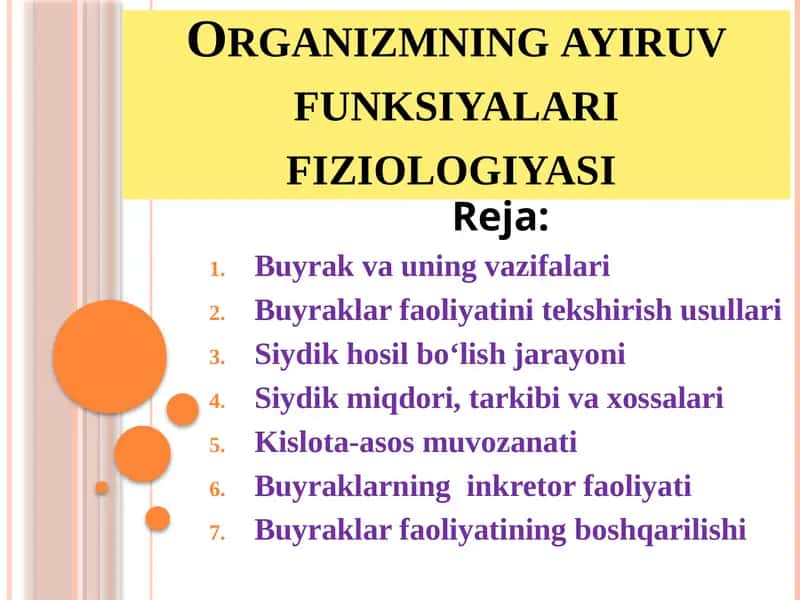 Organizmning ayiruv funksiyalari fiziologiyasi 1