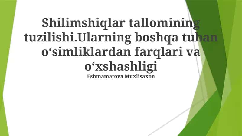 Shilimshiqlar Tallomi Tuzuilishi 1