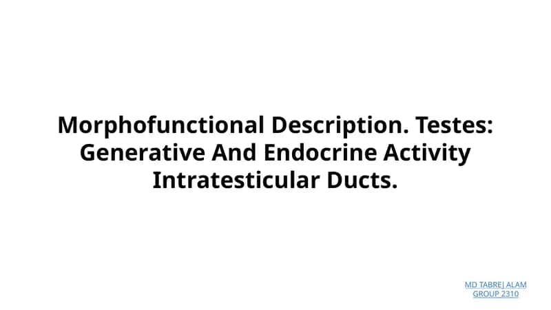 Morphofunctional Description. Testes: Generative And Endocrine Activity Intratesticular Ducts 1