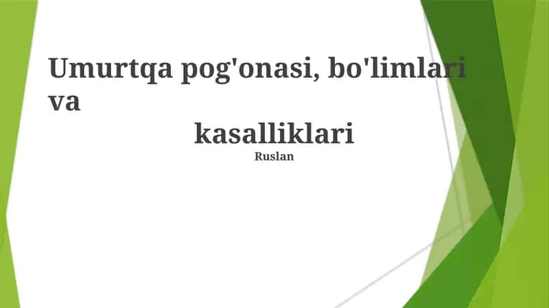 Umurtqa pog'onasi, bo'limlari va kasalliklari 1