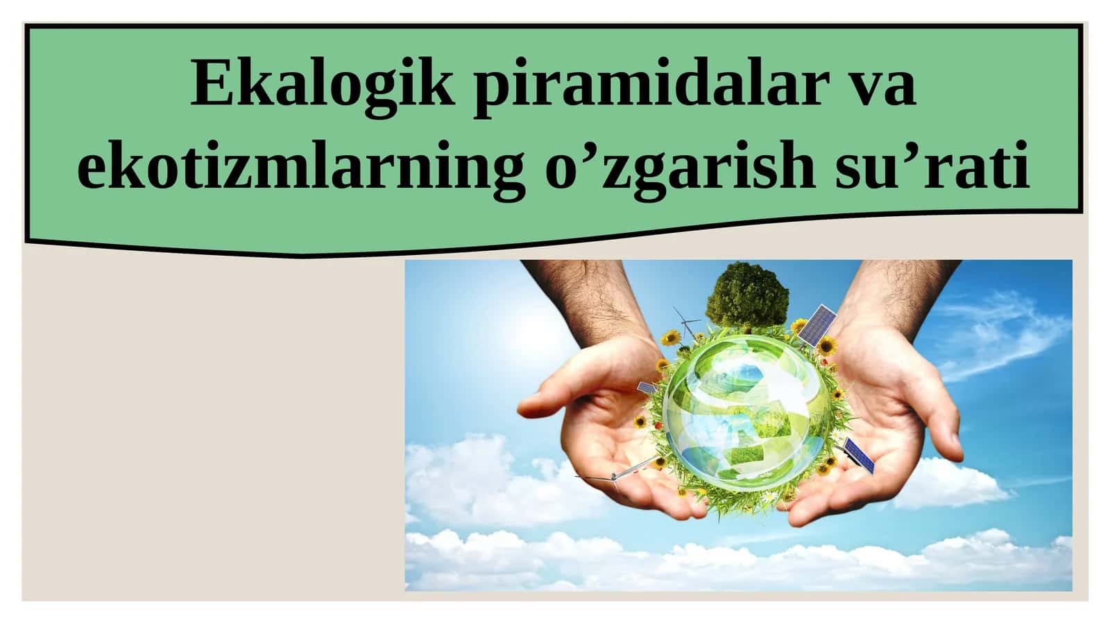 Ekologik piramidalar va ekotizmlarning o’zgarish su’rati 1