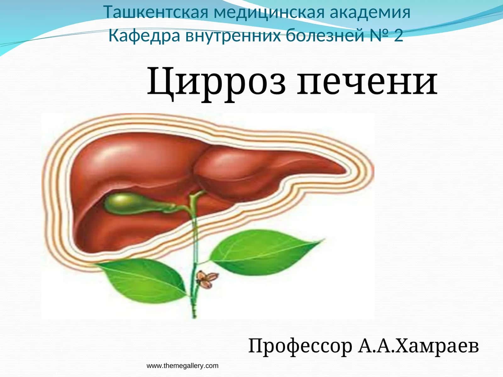 Цирроз печени 1