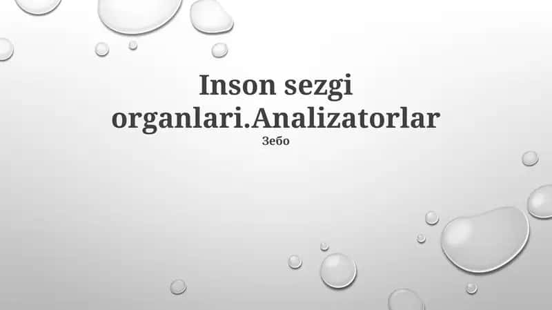Analizatorlar 1