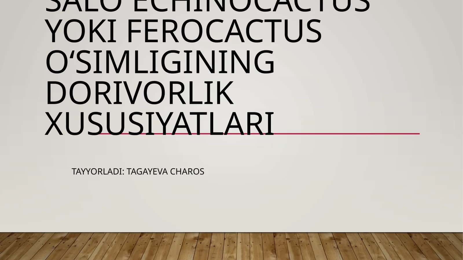 Salo Echinocactus yoki Ferocactus oʻsimligining dorivorlik xususiyatlari 1