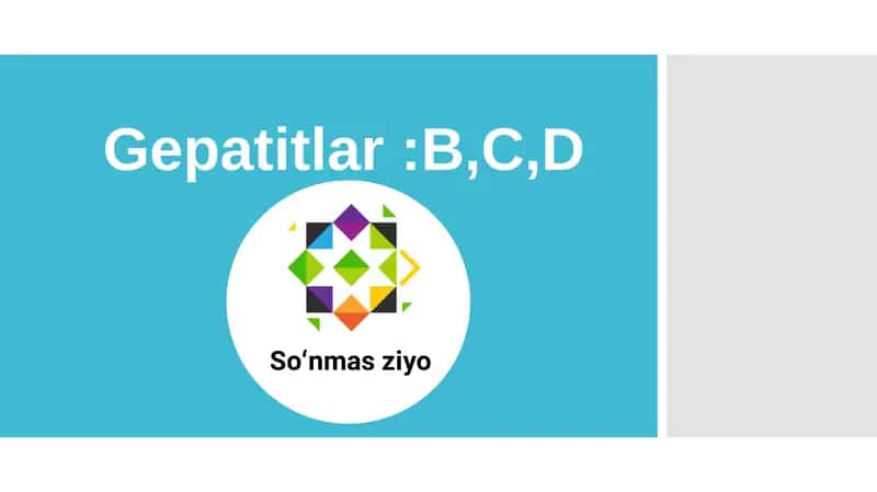 Gepatit B C D 1