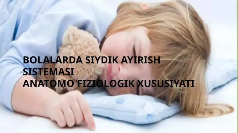 BOLALARDA SIYDIK AYIRISH SISTEMASI ANATOMO FIZIOLOGIK XUSUSIYATI 1