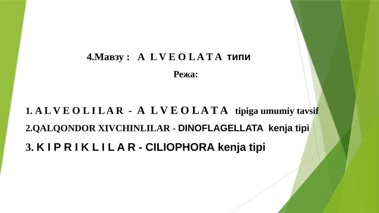 АL V E O L A T Aтипи 1