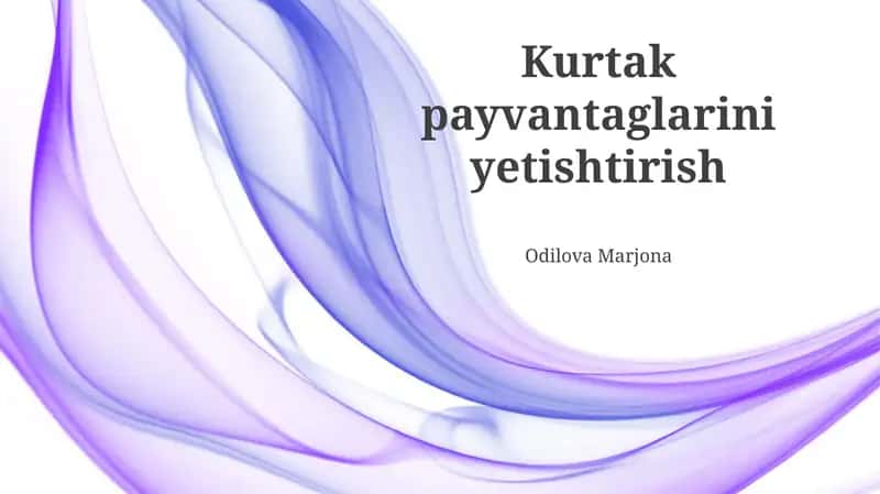 Qisqa muddatli ekinlarni yetishtirishning iqtisodiy jihatlari 1