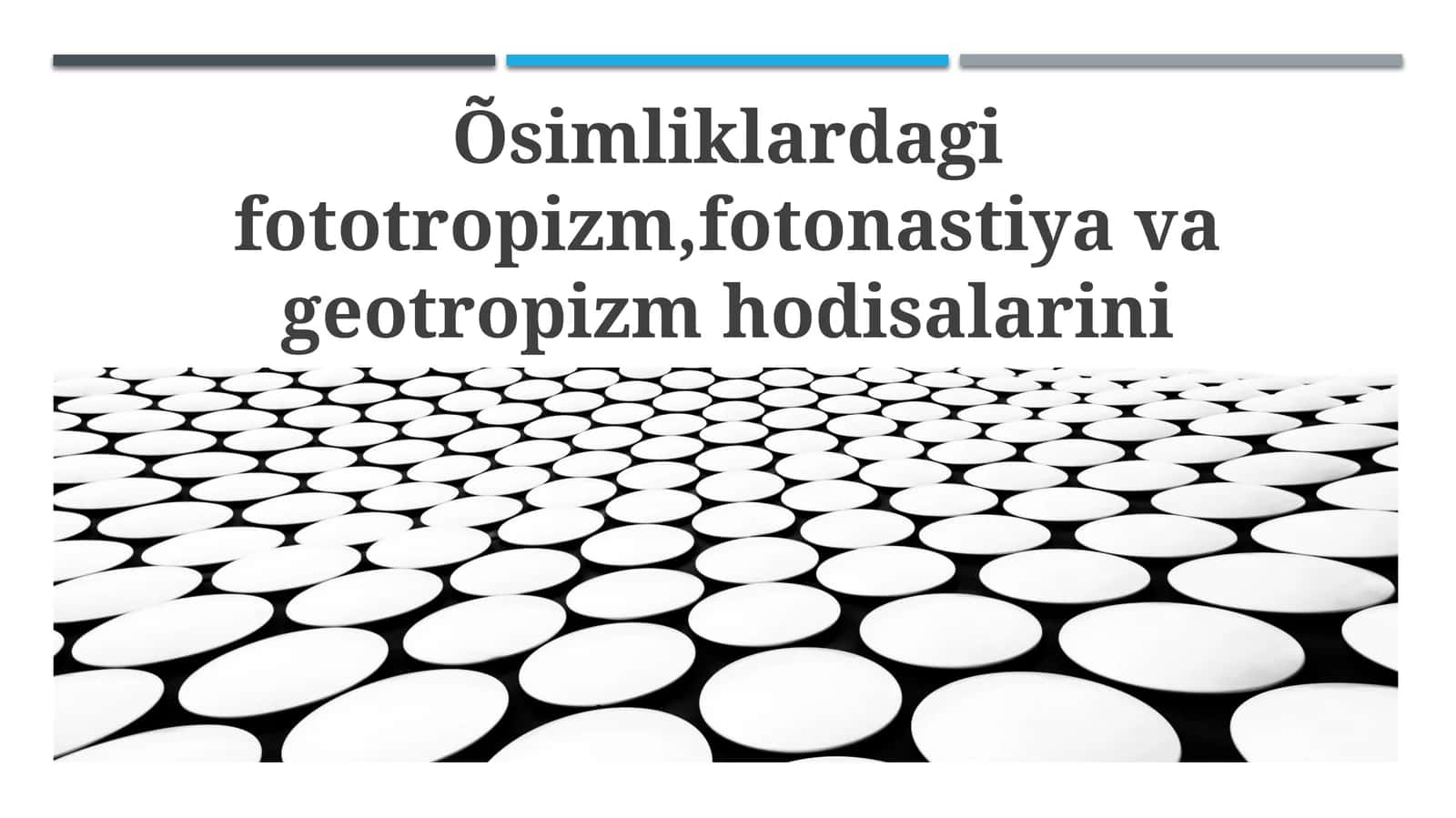 Fototropizm, Fotonastiya va Geotropizm: Ta'riflar va Mexanizmlar 1