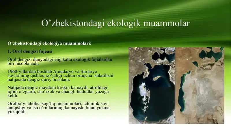 ekologik muammolar 1