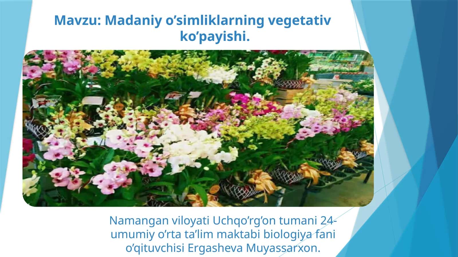 Madaniyo’simliklarning vegetativ ko’payishi 1