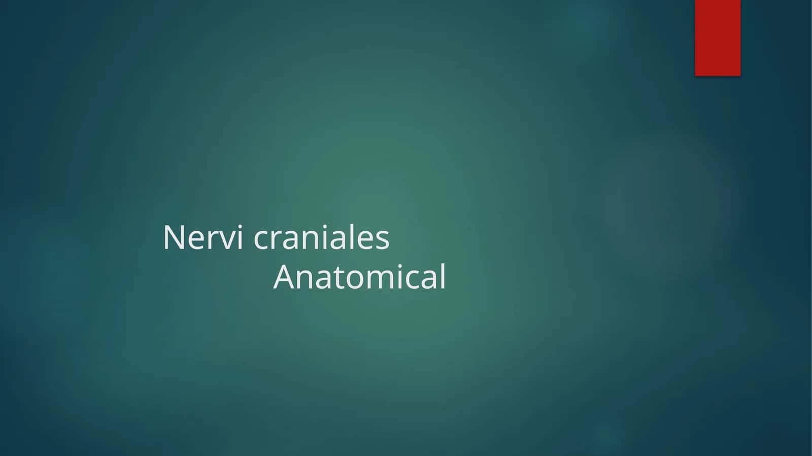 Bosh miya 12 juft nervlari Nervi craniales Anatomical 1