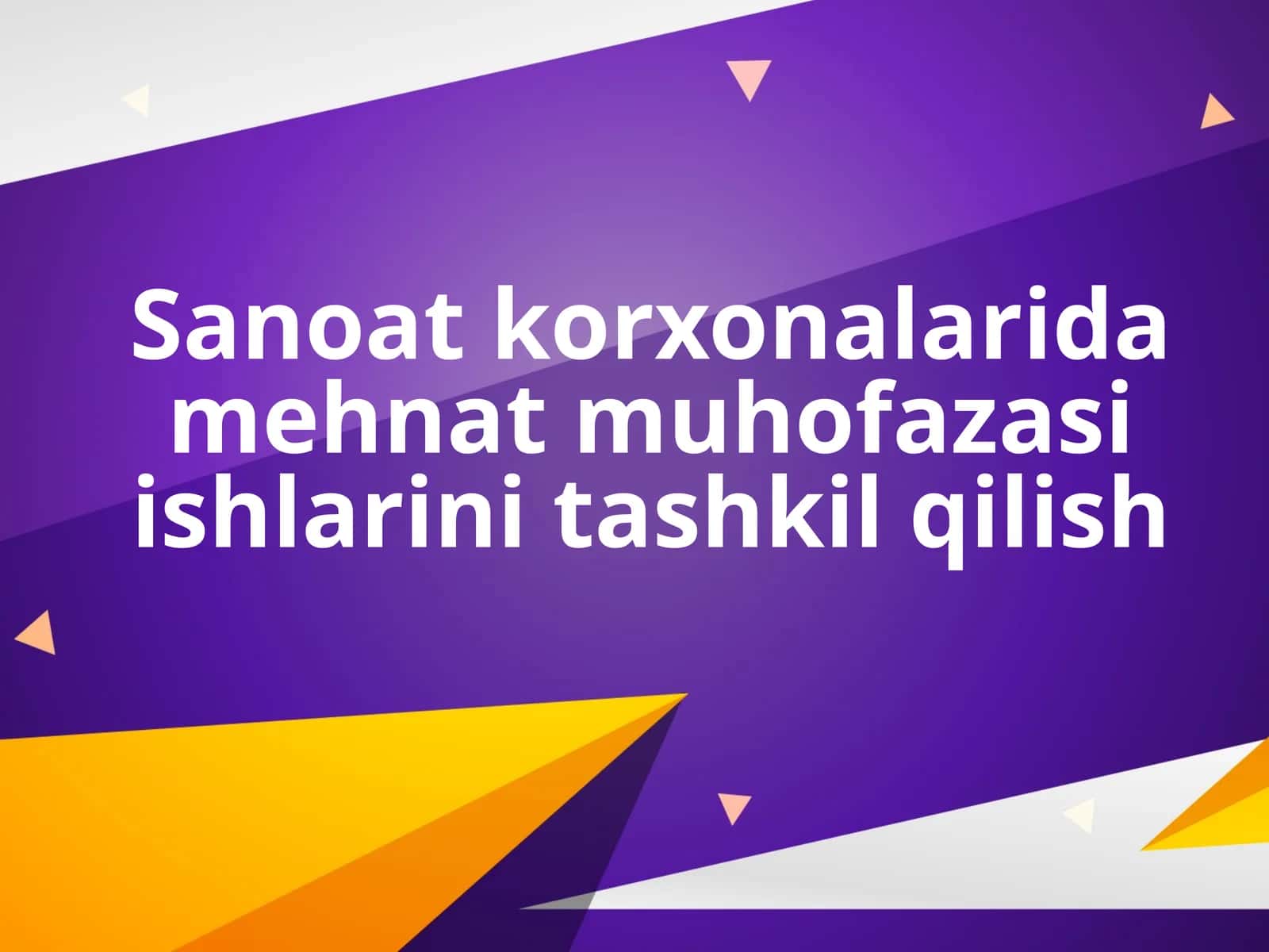 Mehmat muhofazasi: Sanoat korxonalarida mehnat muhofazasi ishlarini tashkil qilish 1