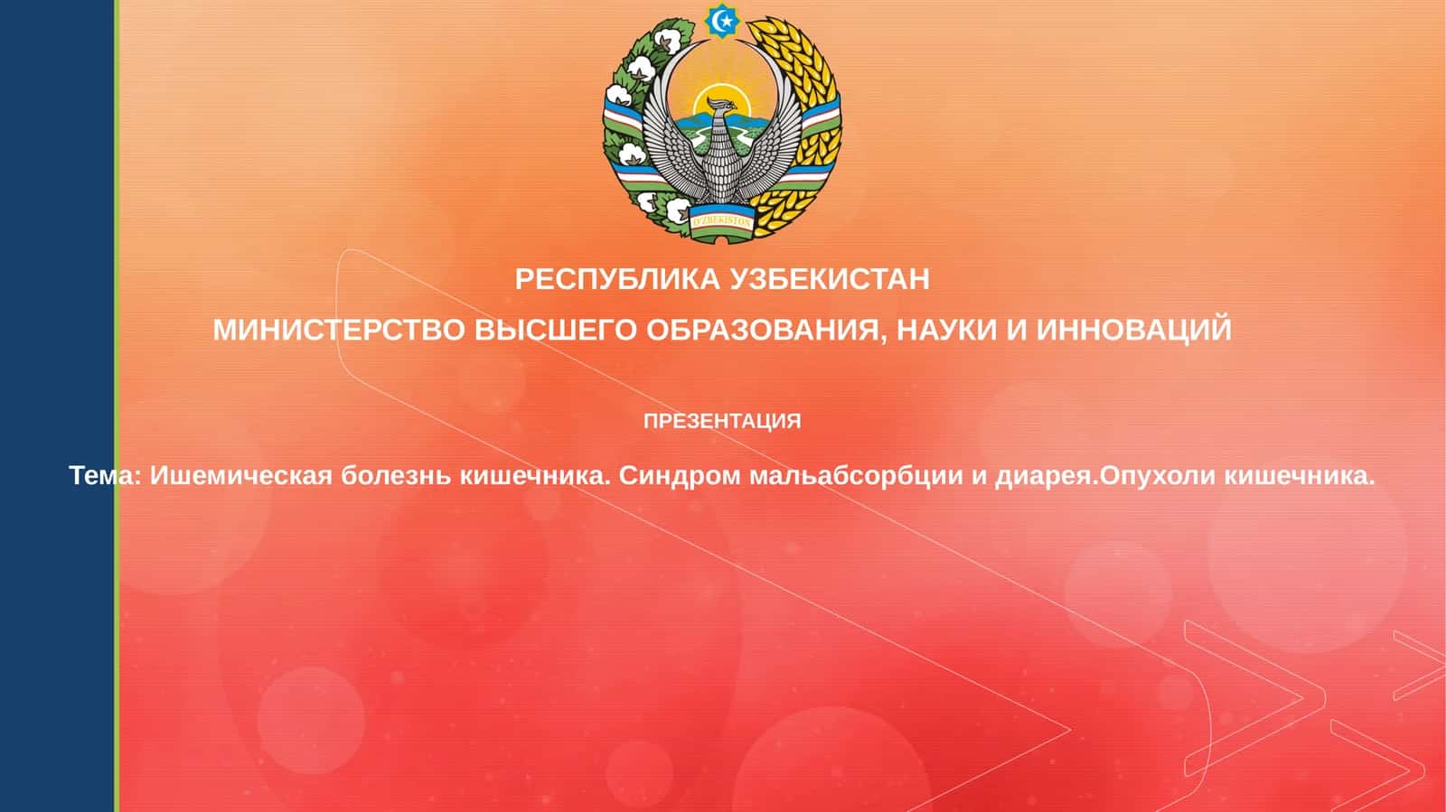 Презентация 1