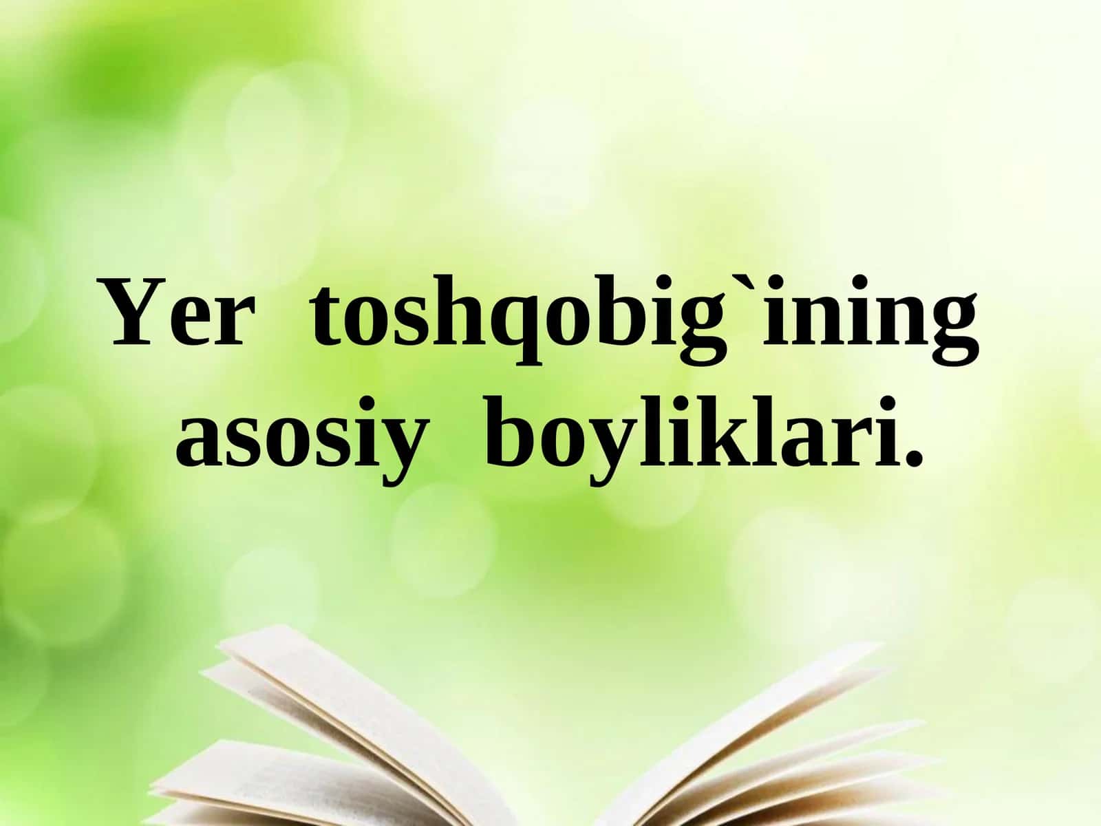 Yer toshqobig`ining asosiy boyliklari 1