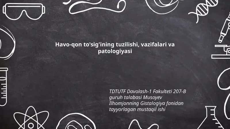 Hav va Qon To'sig'ining Tuzilishi, Vazifalari va Patologiyasi 1