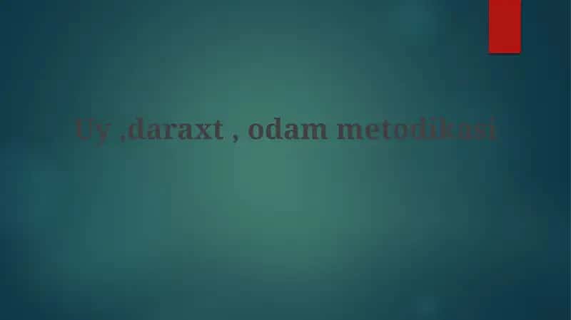 Metodologik Ramkalar 1