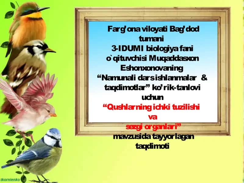 Qushlarning ichki tuzilishi va sezgi organlari mavzusida taqdimot 1