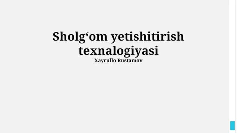 Sholgʻom yetishitirish texnalogiyasi 1