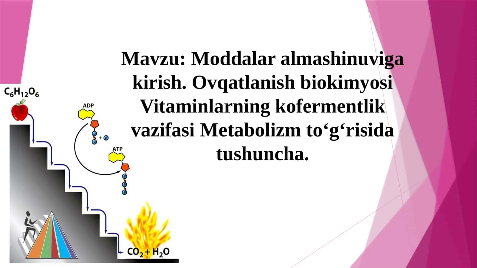 Moddalar almashinuviga kirish. Ovqatlanish biokimyosi 1