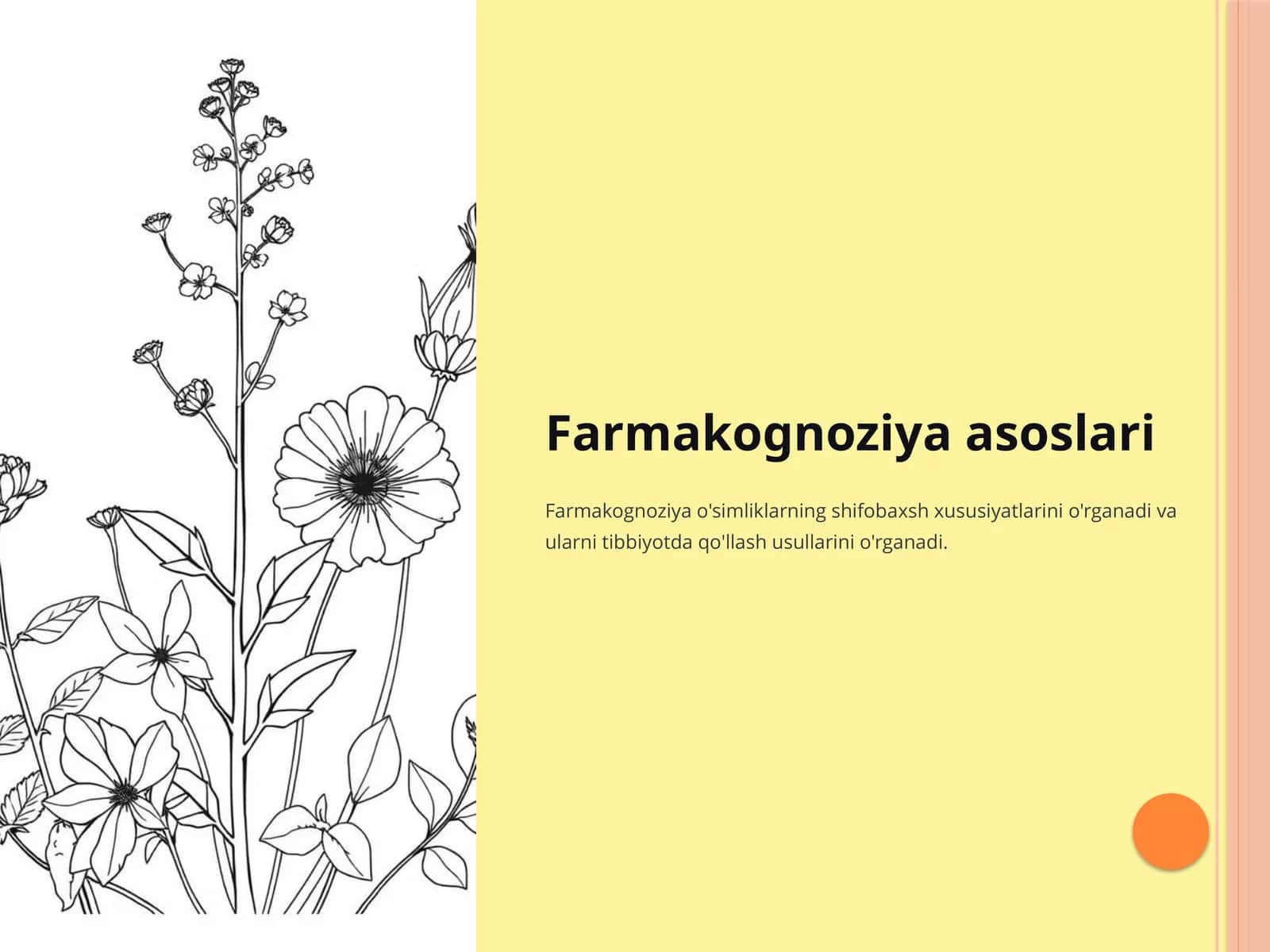 Farmakognoziya asoslari 1