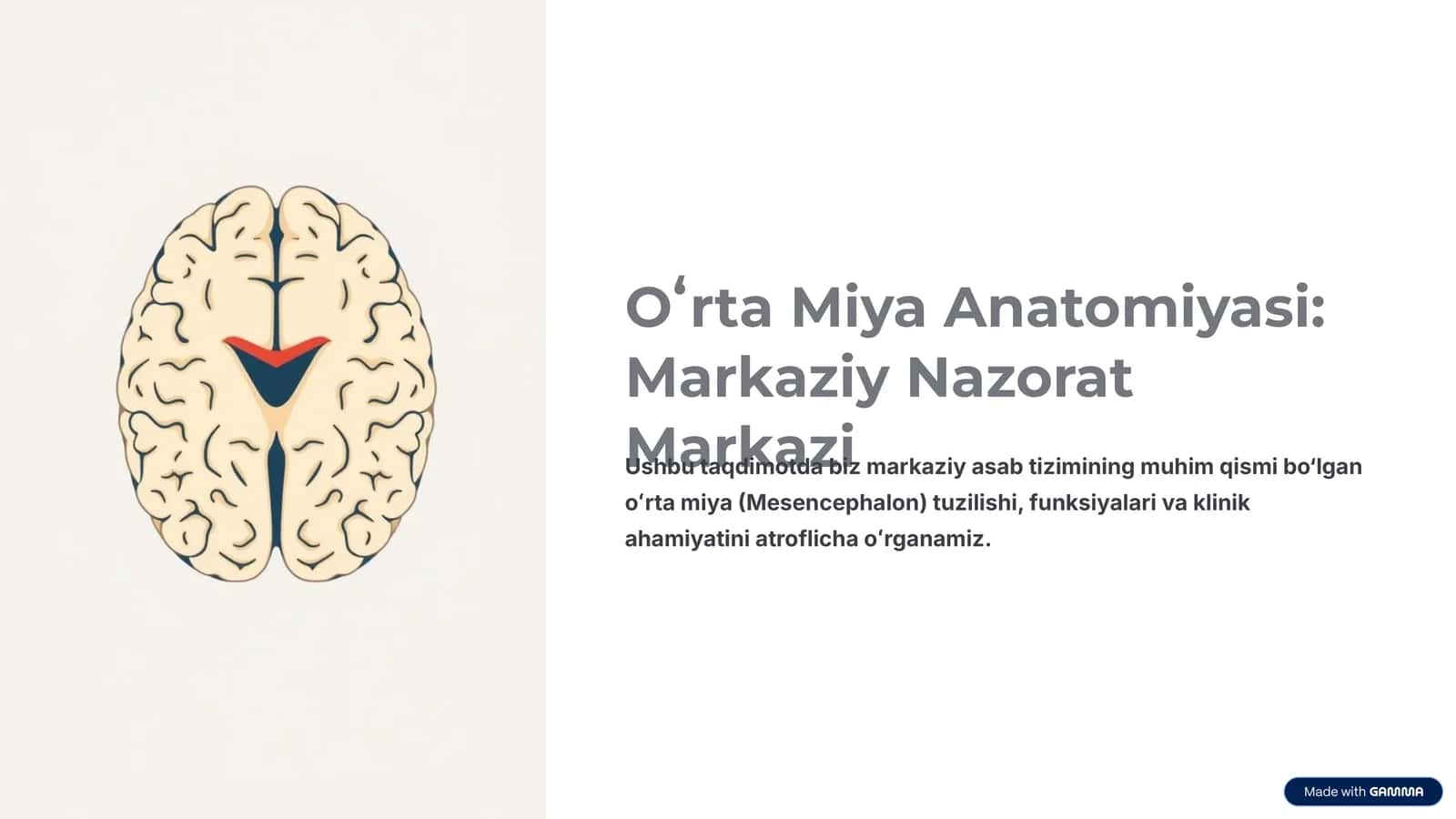 Oʻrta Miya Anatomiyasi: Markaziy Nazorat Markazi 1