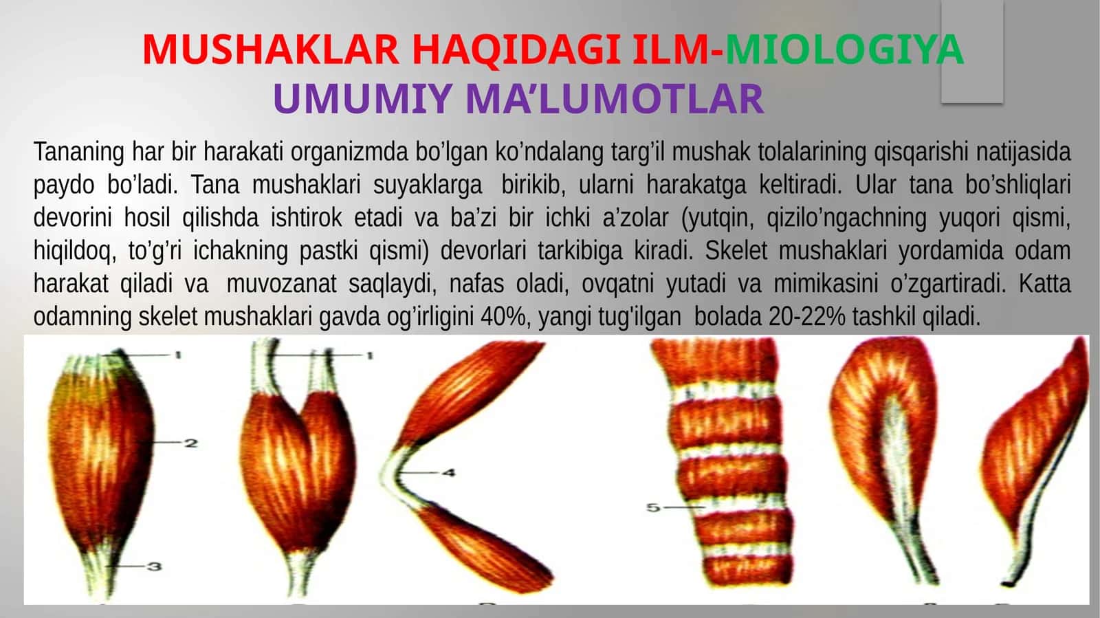Mushaklar haqida ilm-MIOLOGIYA Umumiy ma’lumotlar 1