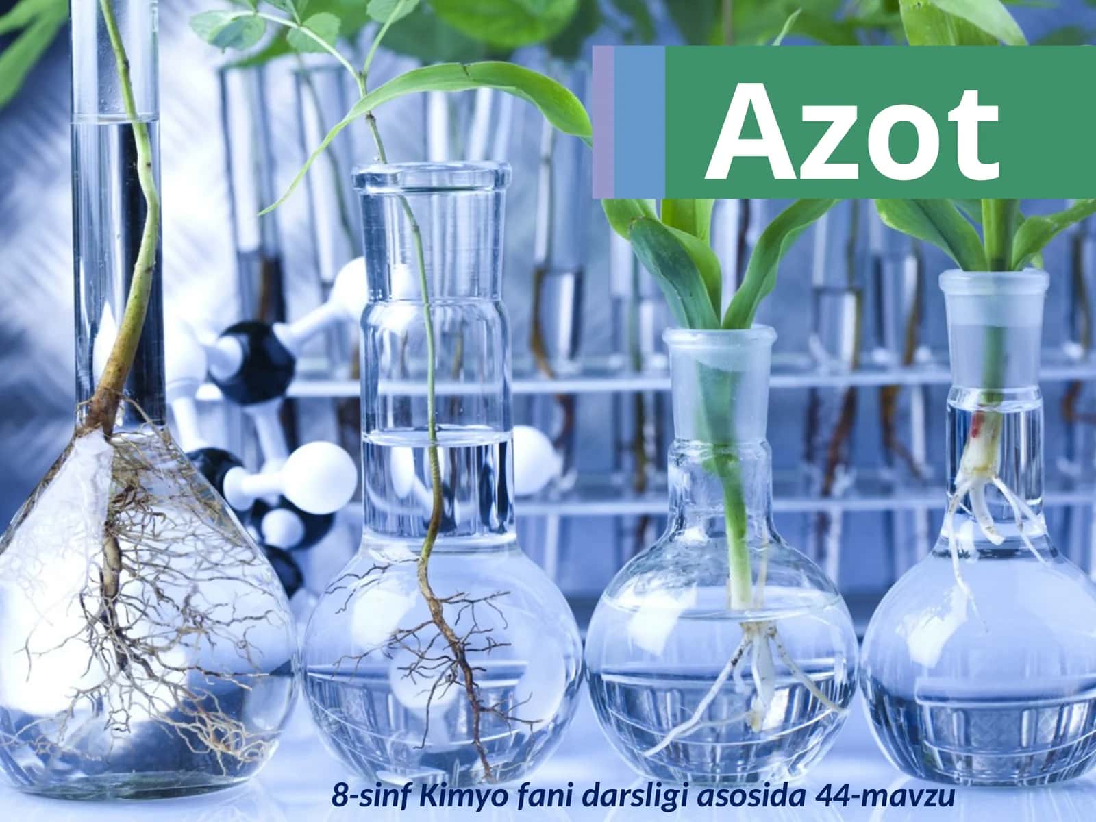 Azot 1
