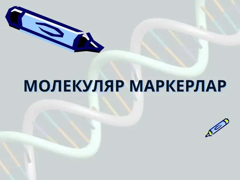 МОЛЕКУЛЯР МАРКЕРЛАР 1