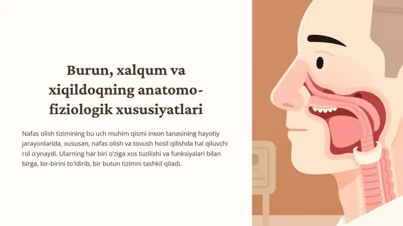 Burun, xalqum va xiqildoqning anatomo-fiziologik xususiyatlari 1
