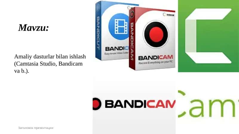 Amaliy dasturlar bilan ishlash (Camtasia Studio, Bandicam va b.). 1