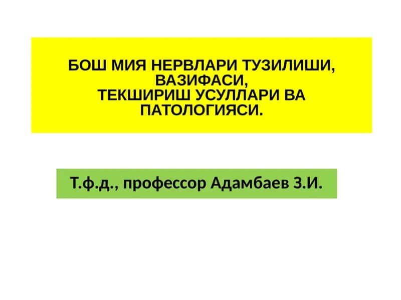 Бош Мия Нервлари Тузилиши 1