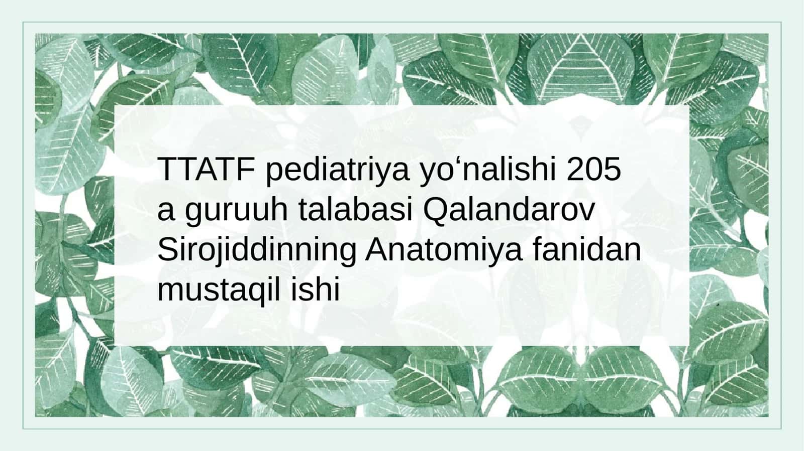 Tibilish va hidbilishning funksional anatomiyasi 1