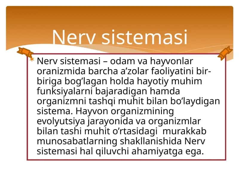 Nervsistemasi 1
