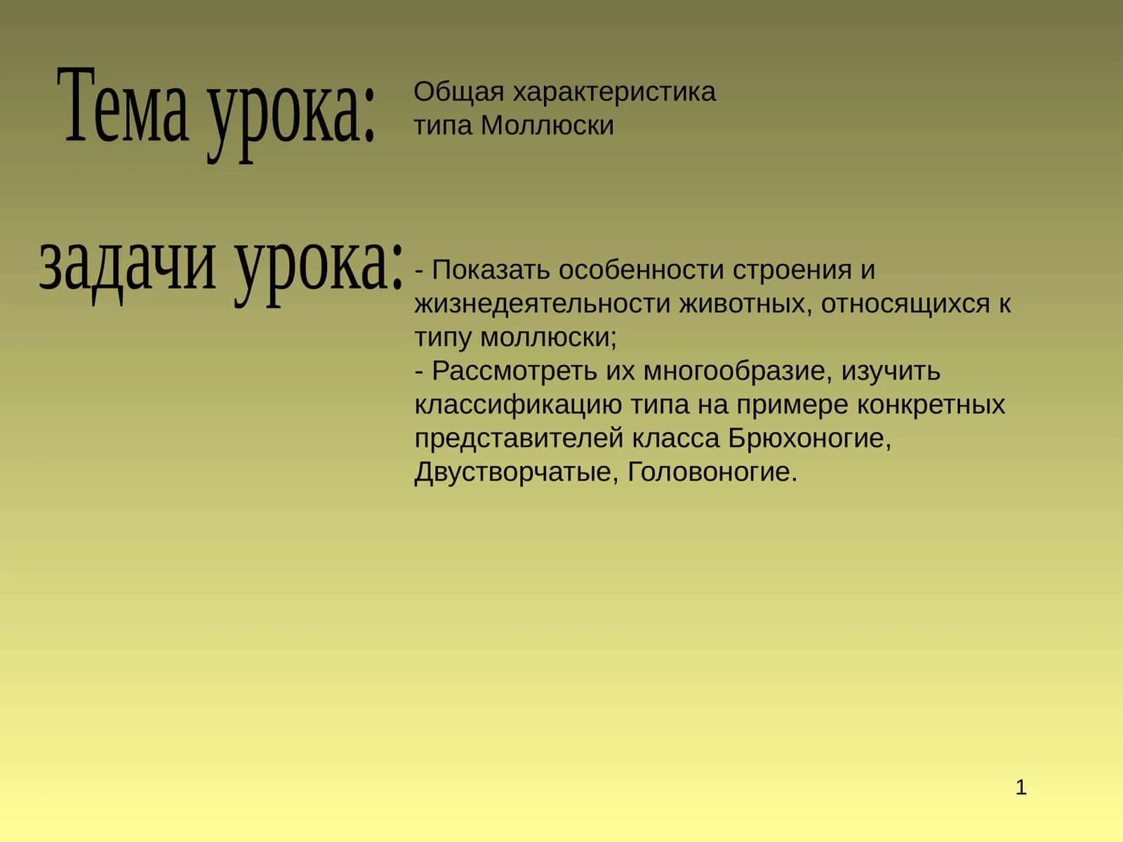 Моллюсклар 1