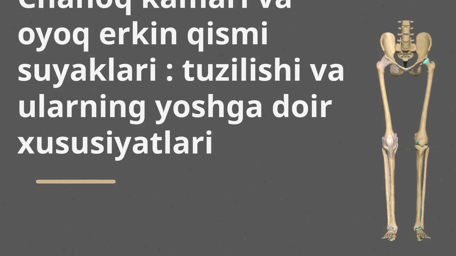 Chanoq kamari va oyoq erkin qismi suyaklari : tuzilishi va ularning yoshga doir xususiyatlari 1