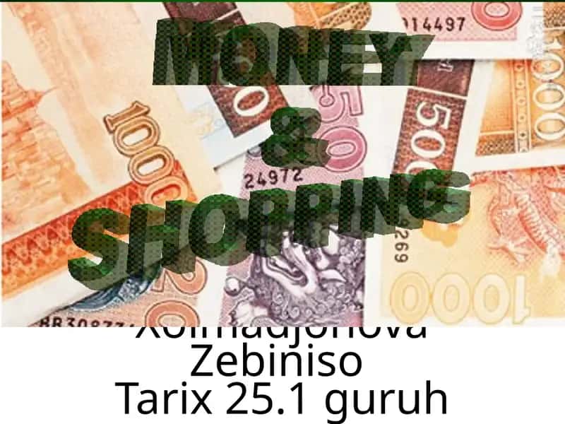 The Role of Money in Shopping 1